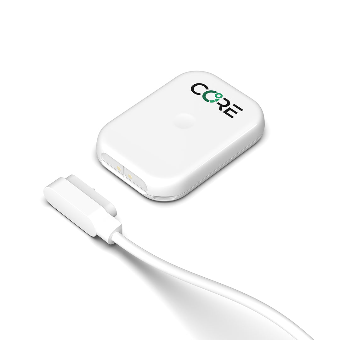 CORE 2 Ladekabel Magnetisch USB-C Ersatz