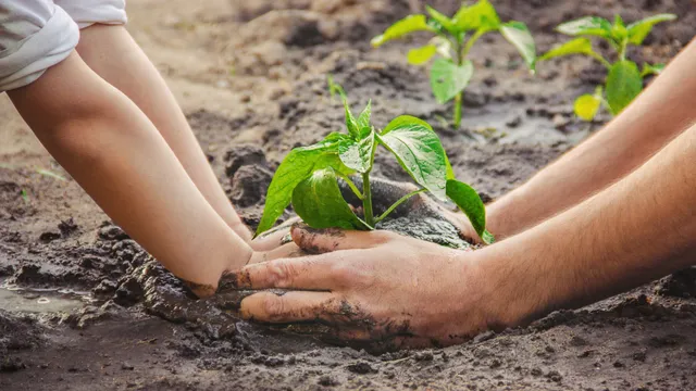 Team Gesundheit Klima Gesundheit Planetary Health auf der Spur Kurs