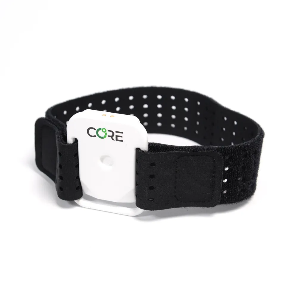 CORE Arm Strap Armband CORE 1 elastisch
