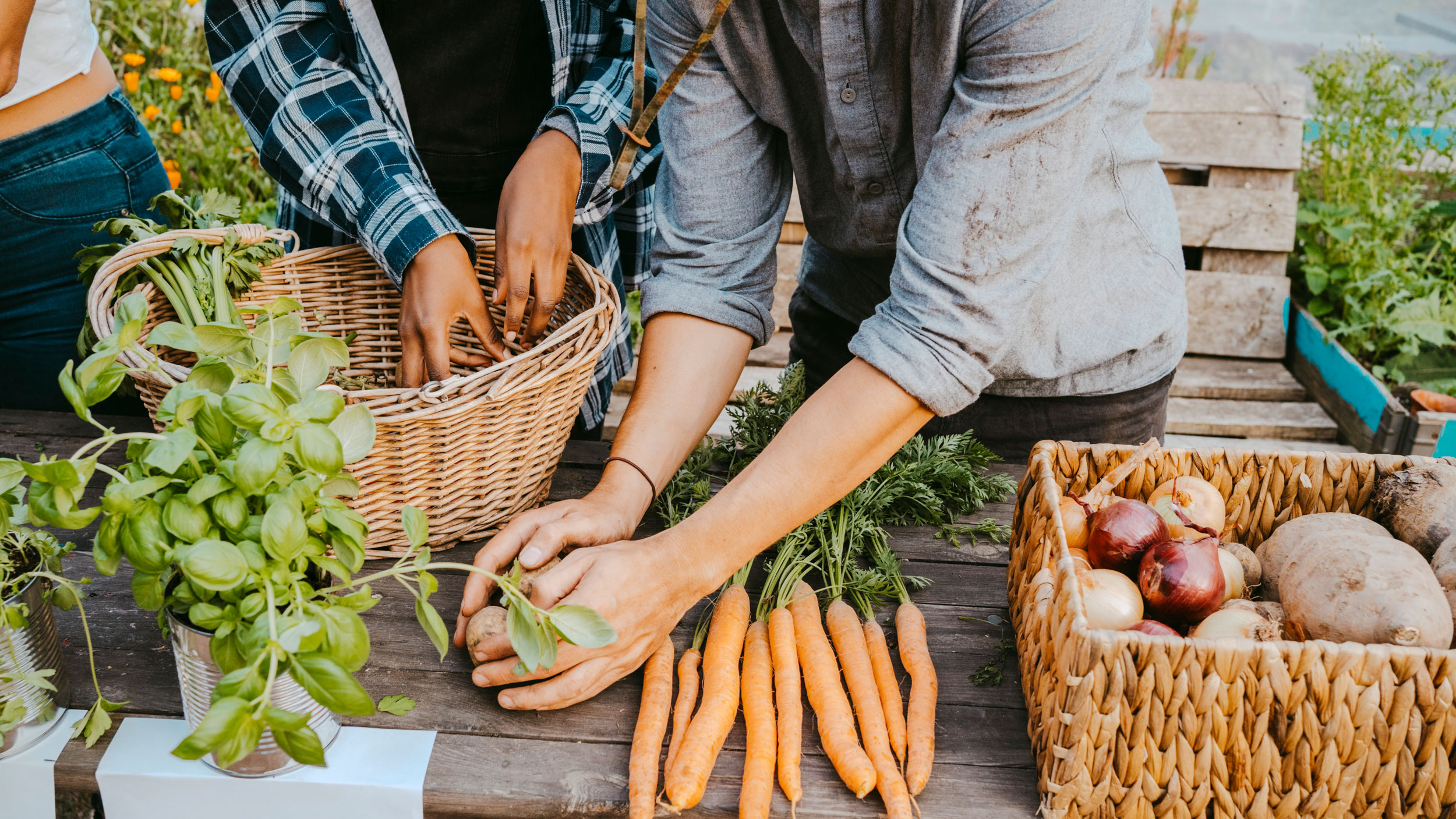 Team Gesundheit Bewusste Ernährung Ernährung gesund gestalten Kurs