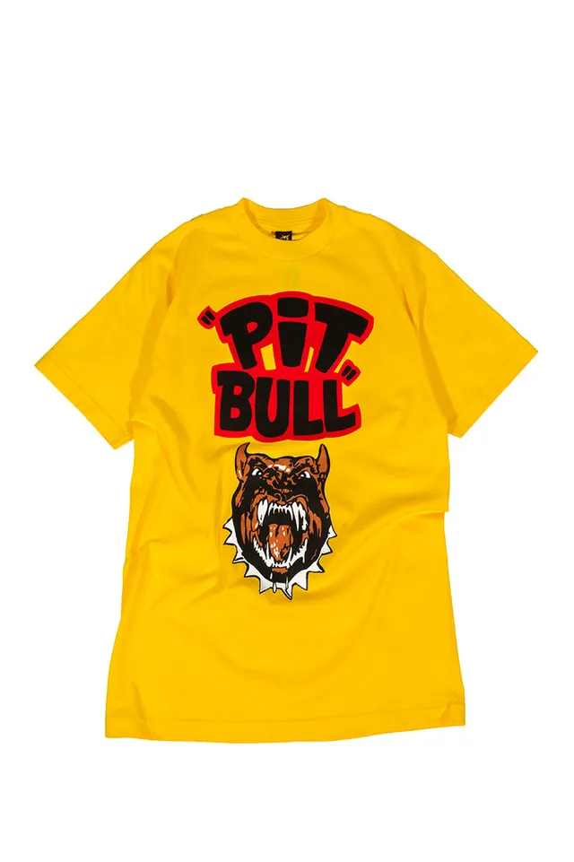The Hundreds Pitbull T-Shirt Gelb M-XXL Back to Future Vintage
