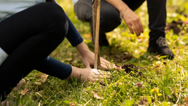 Team Gesundheit Klima Gesundheit Klimabewusst und gesund handeln Kurs