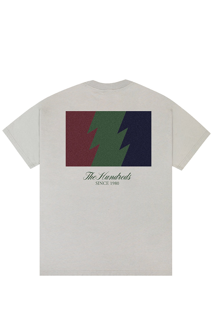 The Hundreds Reflect Wildfire T-Shirt vintage grey Oversize