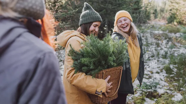 Team Gesundheit WinterImpulse Adventskalender Online Kurs