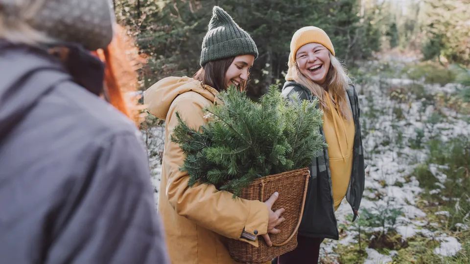Team Gesundheit WinterImpulse Adventskalender Online Kurs