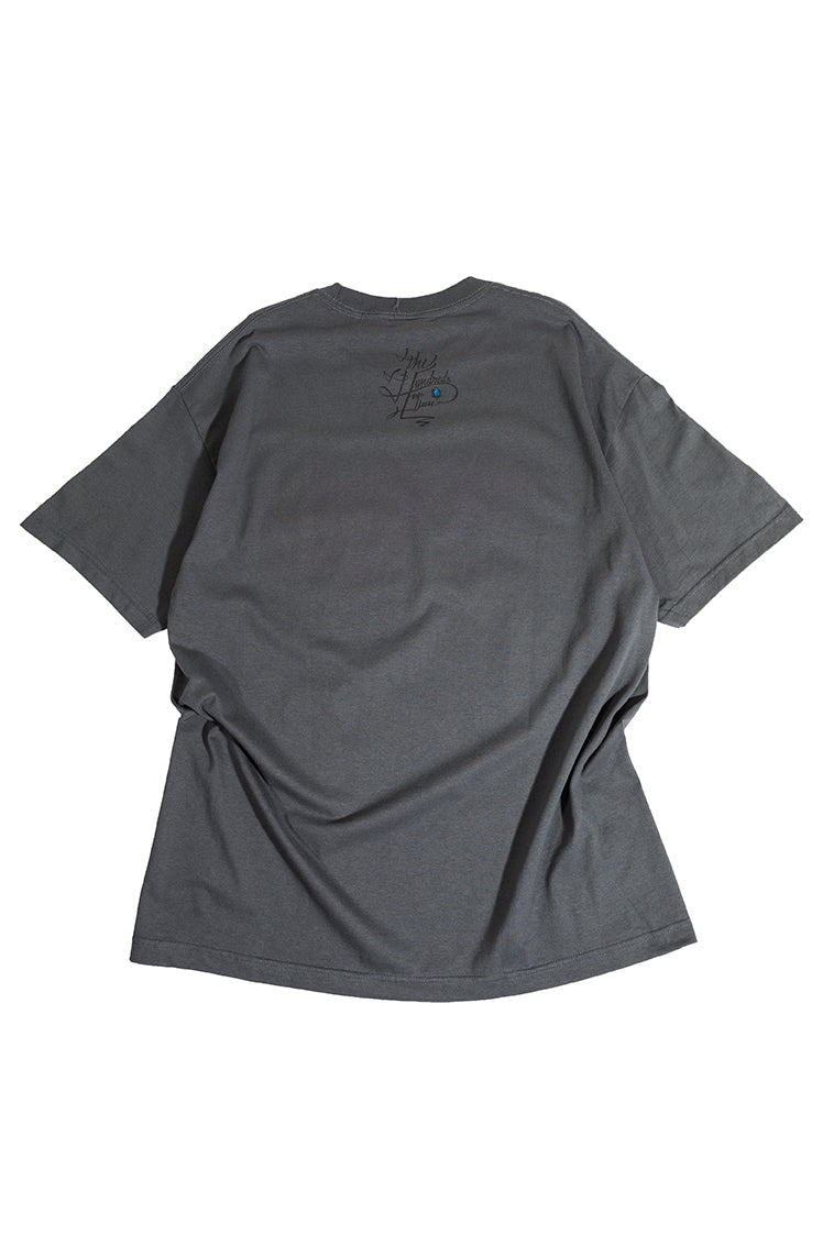 The Hundreds Graphic Tees Ruins T-Shirt Charcoal XL