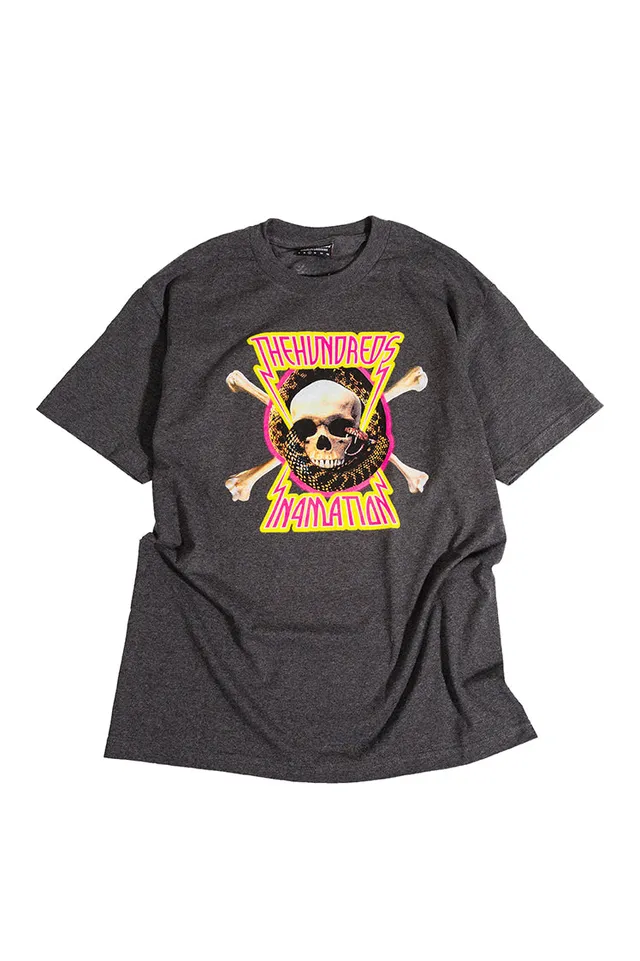 The Hundreds TH X In4mation Skull T-Shirt Grau L