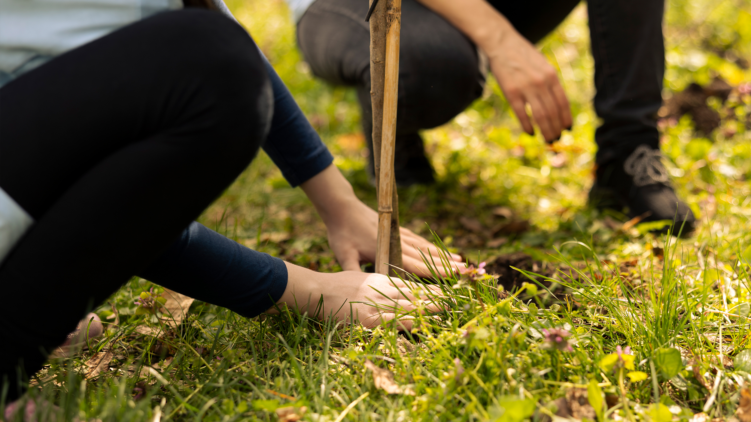 Team Gesundheit Klima Gesundheit Klimabewusst und gesund handeln Kurs